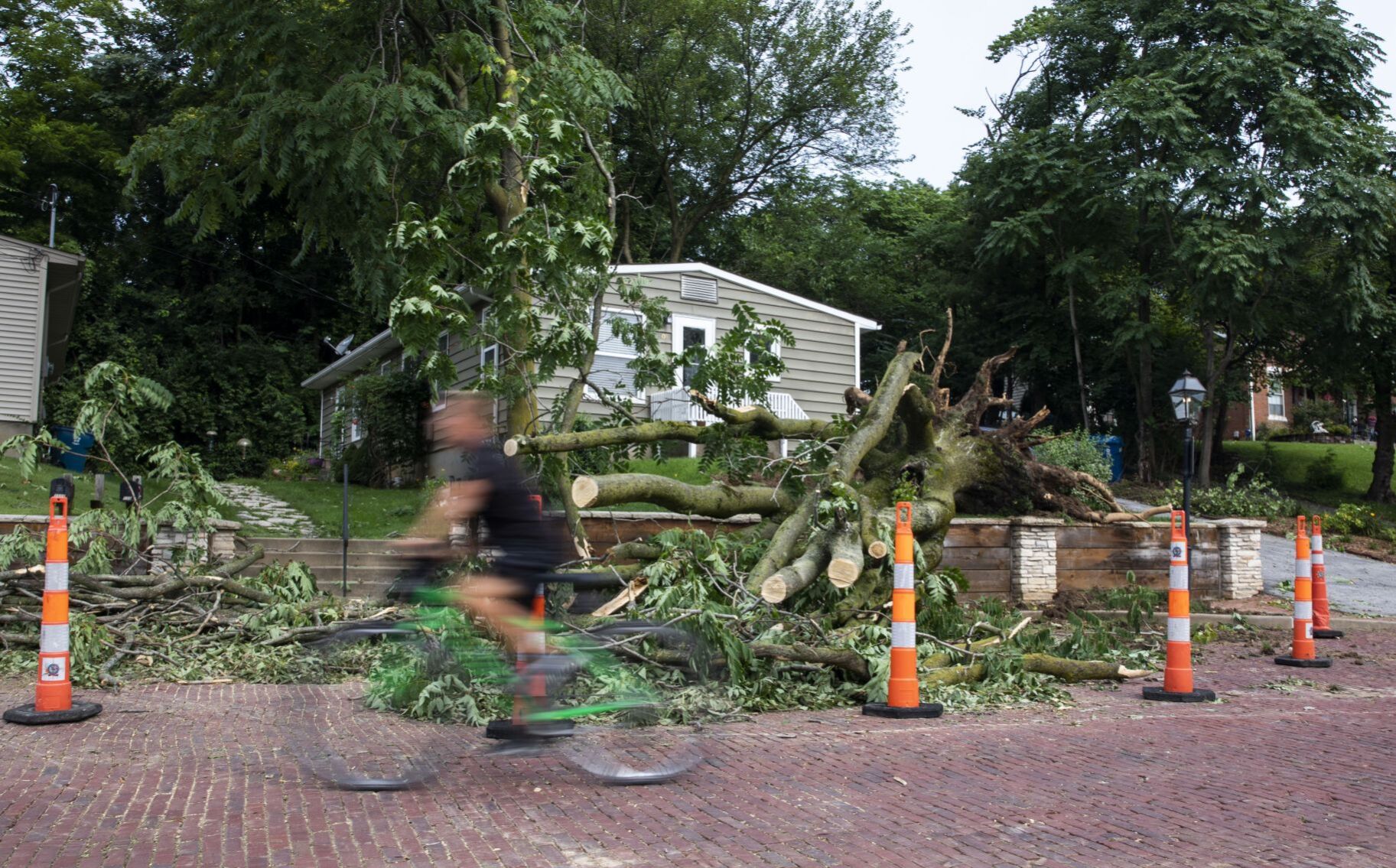 Trees damaged and toppled in St. Charles
